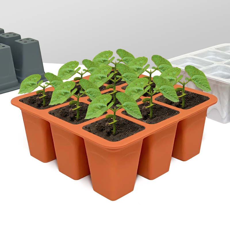 9 Cell Silicone Vegetable Seed - Seed Starter Tray ulasan dan harga