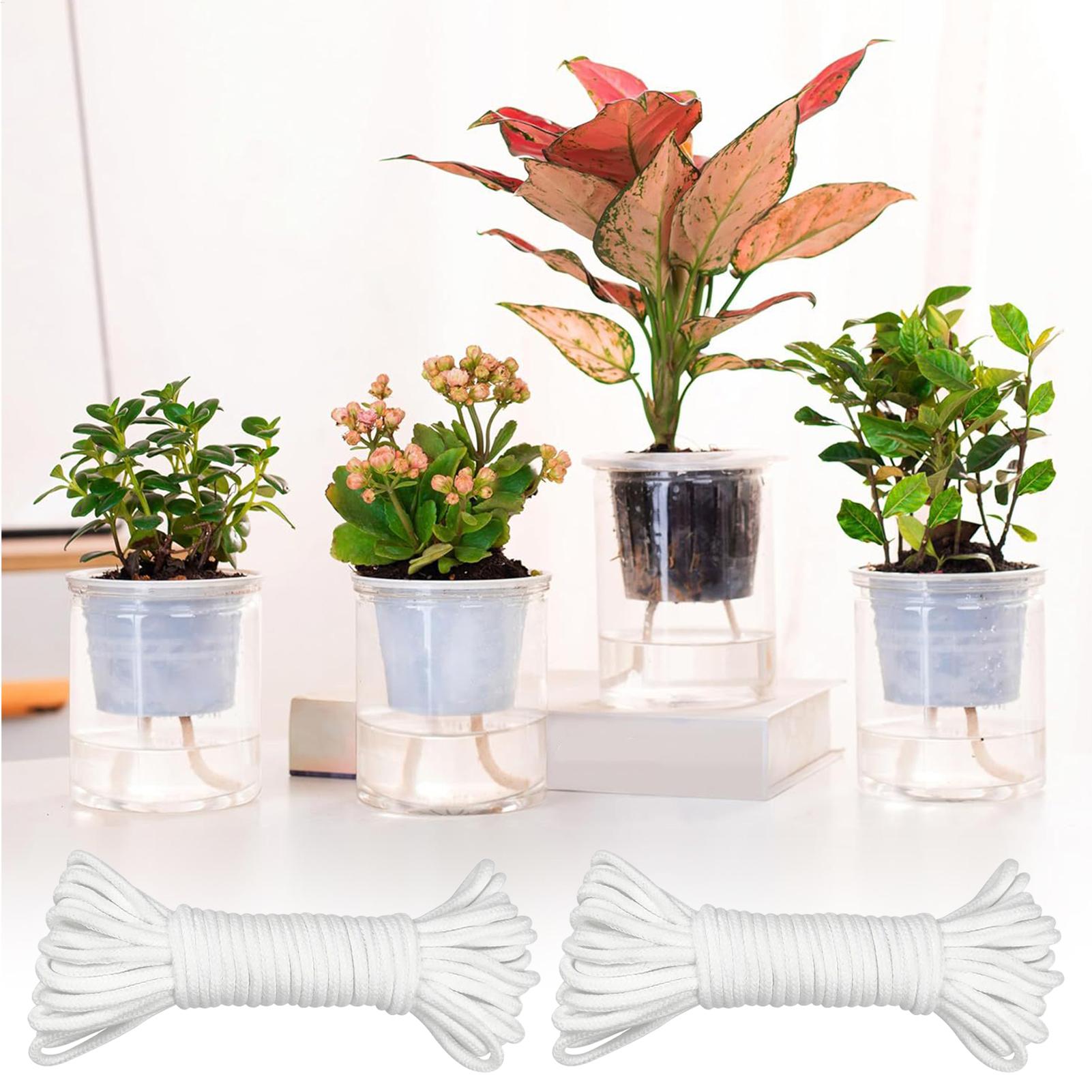Plant Wicks For Self Watering  - Self Watering Planter ulasan dan harga