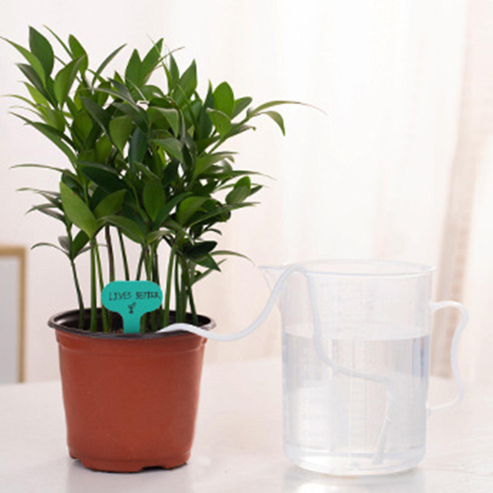 Plant Wicks For Self Watering  - Self Watering Planter ulasan dan harga