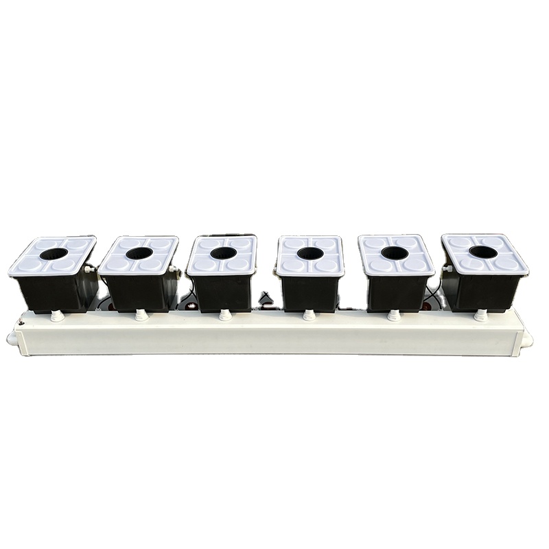 Dutch Bucket Hydroponic System - Hydroponic Kit ulasan dan harga