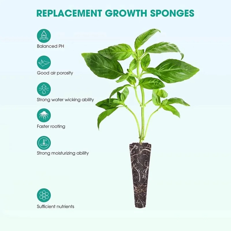 100Pcs Seed Grow Sponges Repla - Seed Starter Tray ulasan dan harga