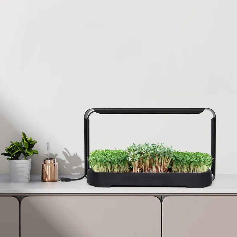 Microgreens Self Watering Hydr - Hydroponic Kit ulasan dan harga