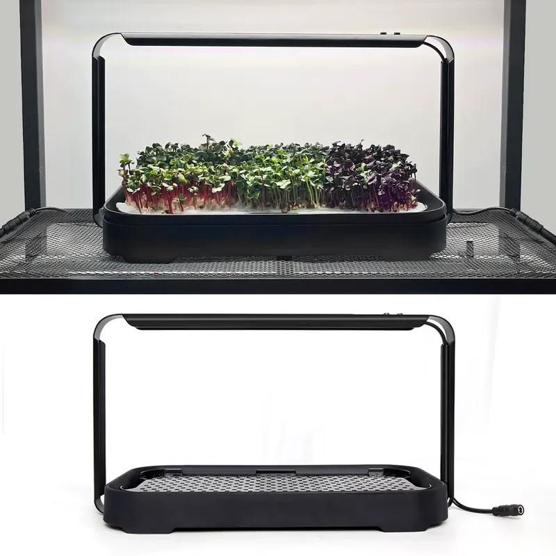 Microgreens Self Watering Hydr - Hydroponic Kit ulasan dan harga