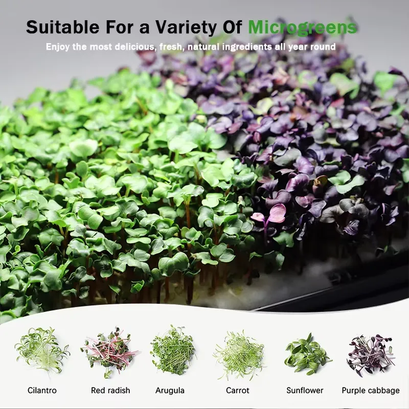 Microgreens Self Watering Hydr - Hydroponic Kit ulasan dan harga