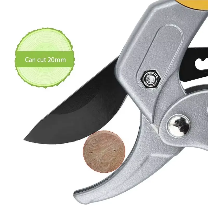 EE1 for Hot Selling High Carbo - Pruning Shears ulasan dan harga