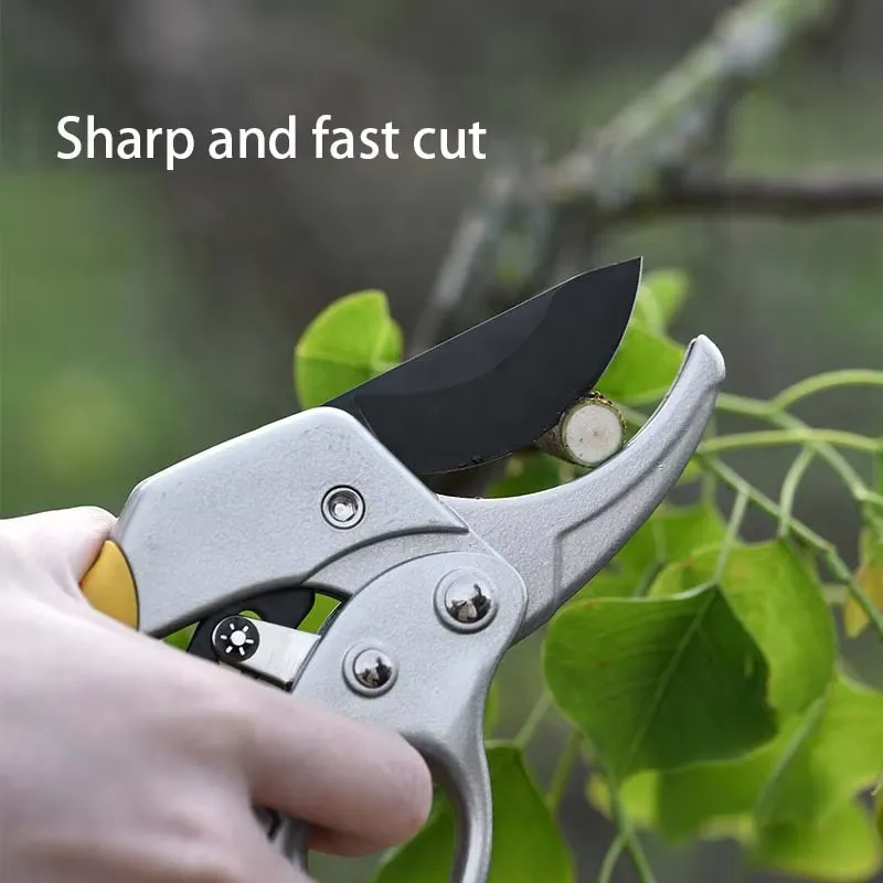 EE1 for Hot Selling High Carbo - Pruning Shears ulasan dan harga