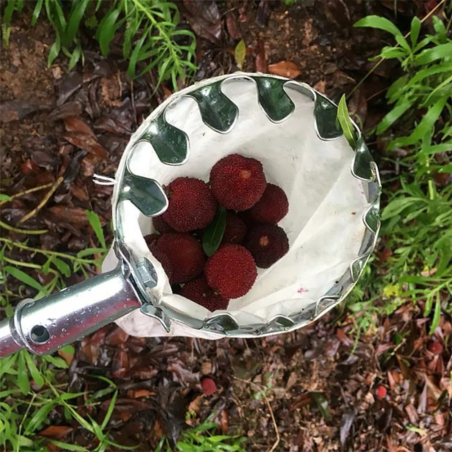 3-in-1 Fruit Harvesting Tool S - Grow Bag ulasan dan harga