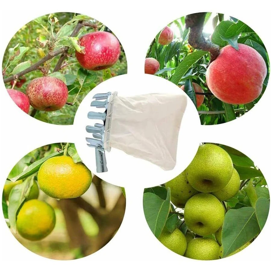3-in-1 Fruit Harvesting Tool S - Grow Bag ulasan dan harga
