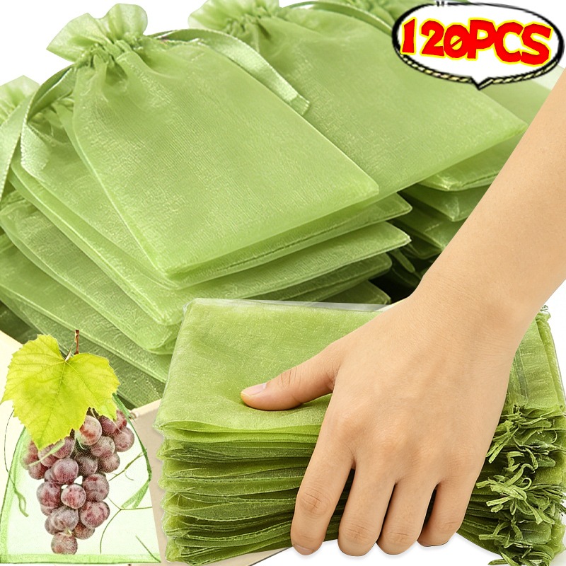 10/120x Organza Fruits Protect - Grow Bag ulasan dan harga