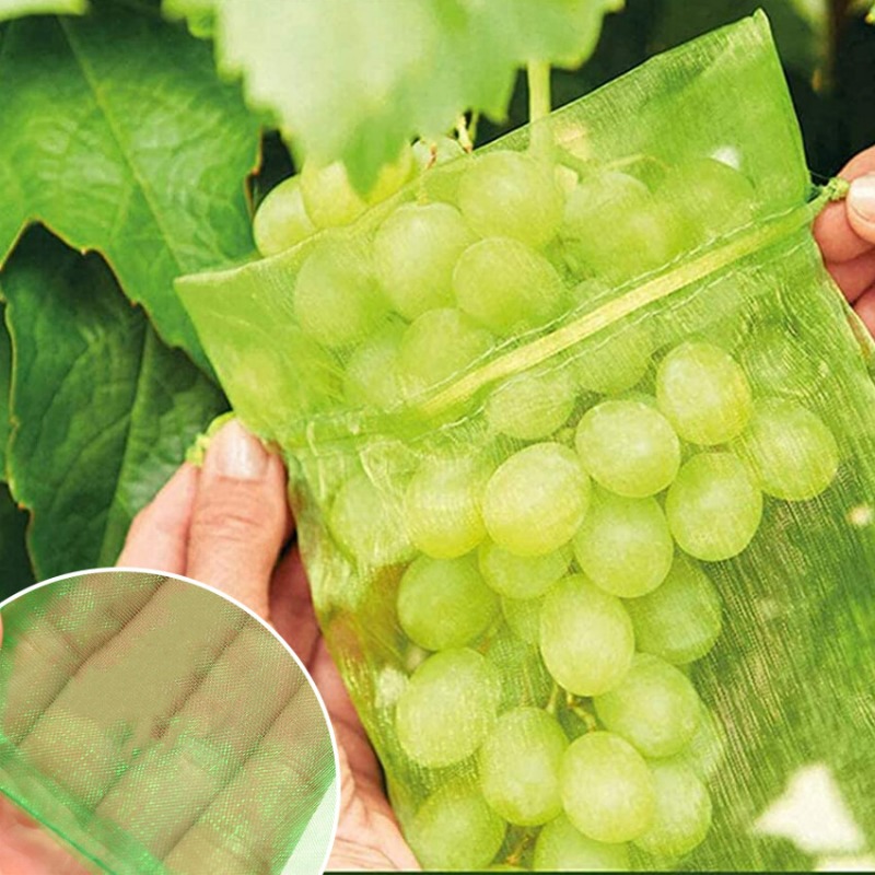 10/120x Organza Fruits Protect - Grow Bag ulasan dan harga