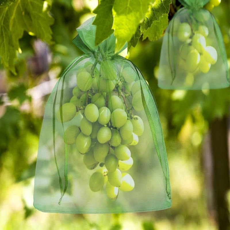 10/120x Organza Fruits Protect - Grow Bag ulasan dan harga