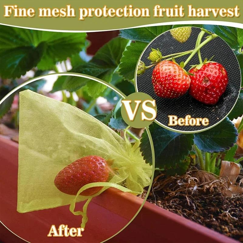 10/120x Organza Fruits Protect - Grow Bag ulasan dan harga