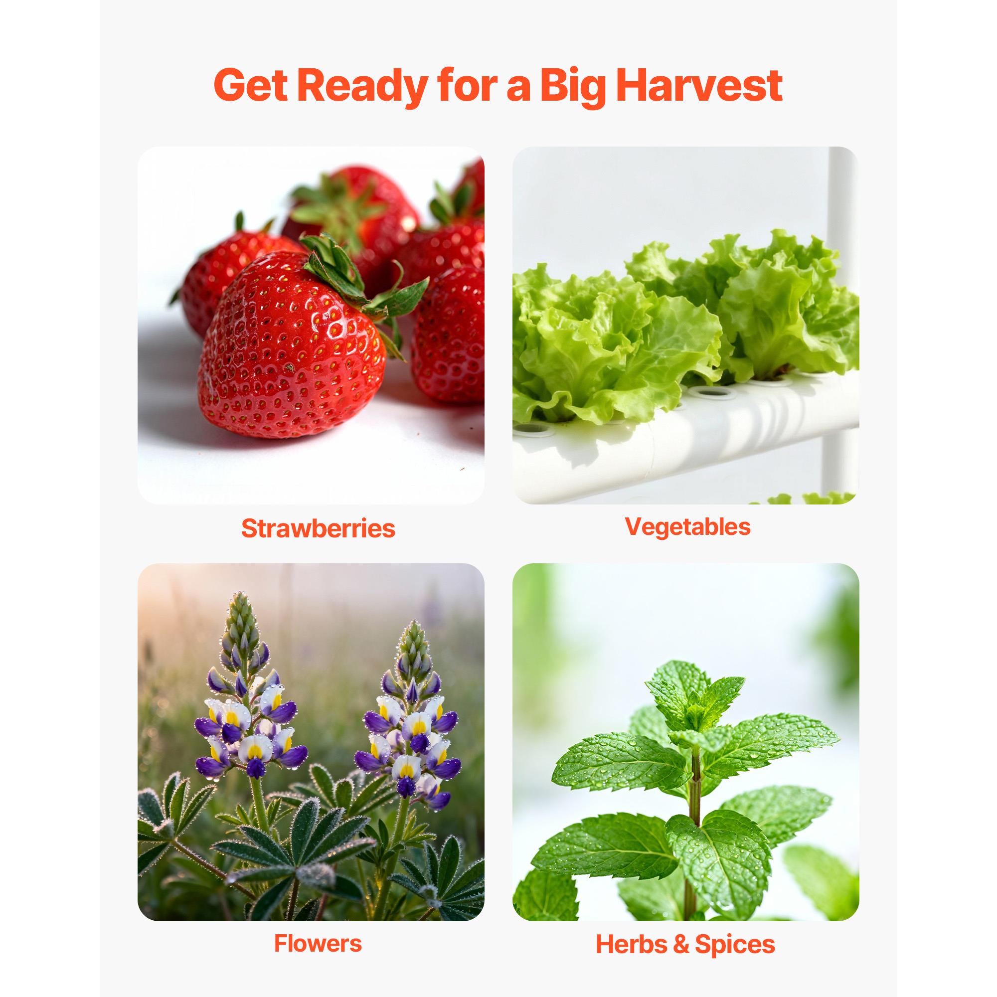 3 Tier 90 Sites Hydroponic Gro - Hydroponic Kit ulasan dan harga