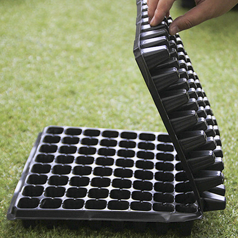 200Cells Seedling Growing Case - Seed Starter Tray ulasan dan harga