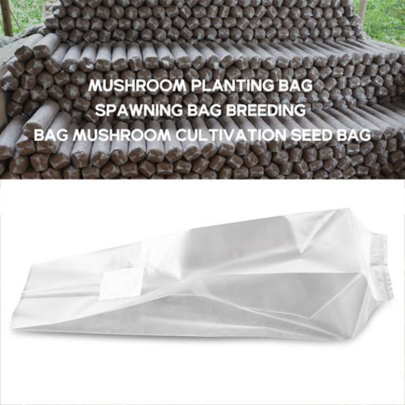50 Count Mushroom Bags/Mushroo - Grow Bag ulasan dan harga