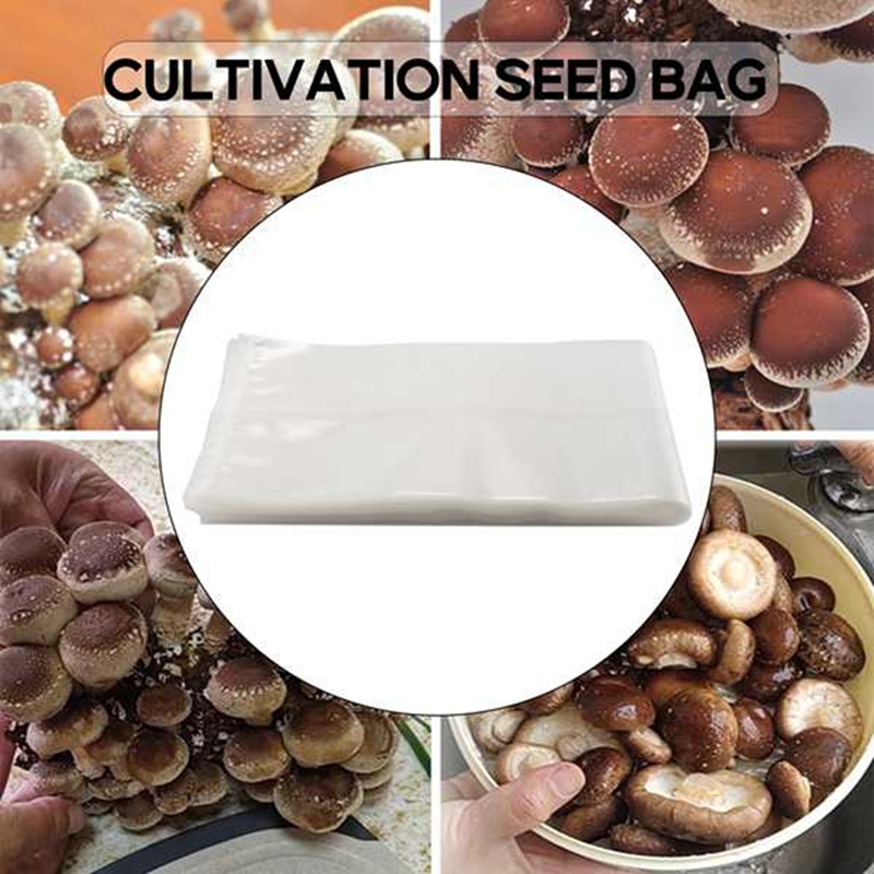 50 Count Mushroom Bags/Mushroo - Grow Bag ulasan dan harga