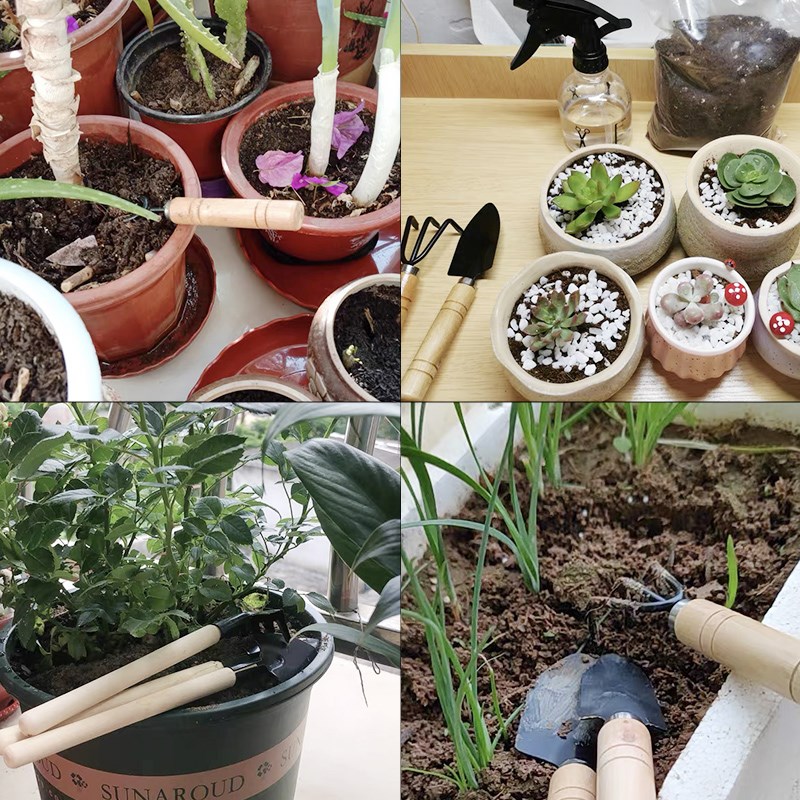 3PC/1Set Mini Gardening Tools  - Indoor Herb Garden ulasan dan harga
