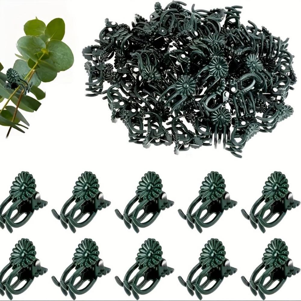 100 Pieces of Orchid and Vine  - Indoor Herb Garden ulasan dan harga