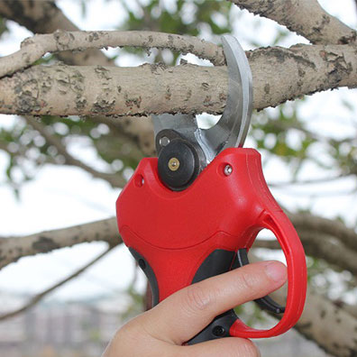 High-Quality Non-Slip Handle G - Pruning Shears ulasan dan harga
