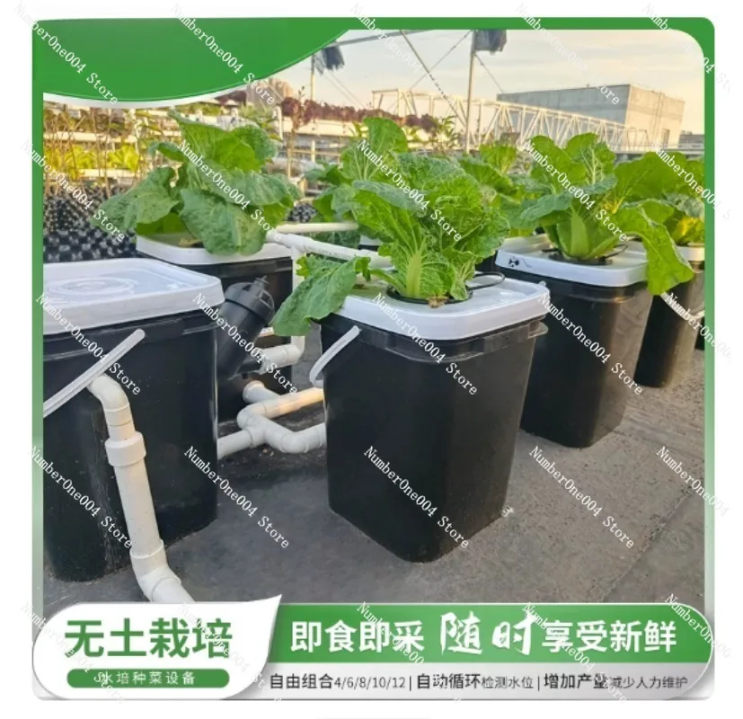 RDWC Home Balcony Hydroponic G - Hydroponic Kit ulasan dan harga