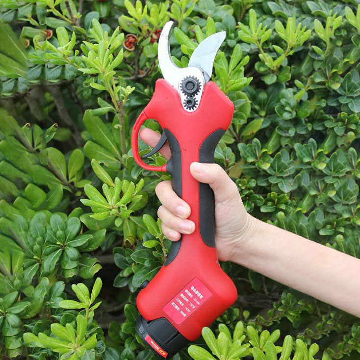 25-40mm Cutting Orchard Vineya - Pruning Shears ulasan dan harga