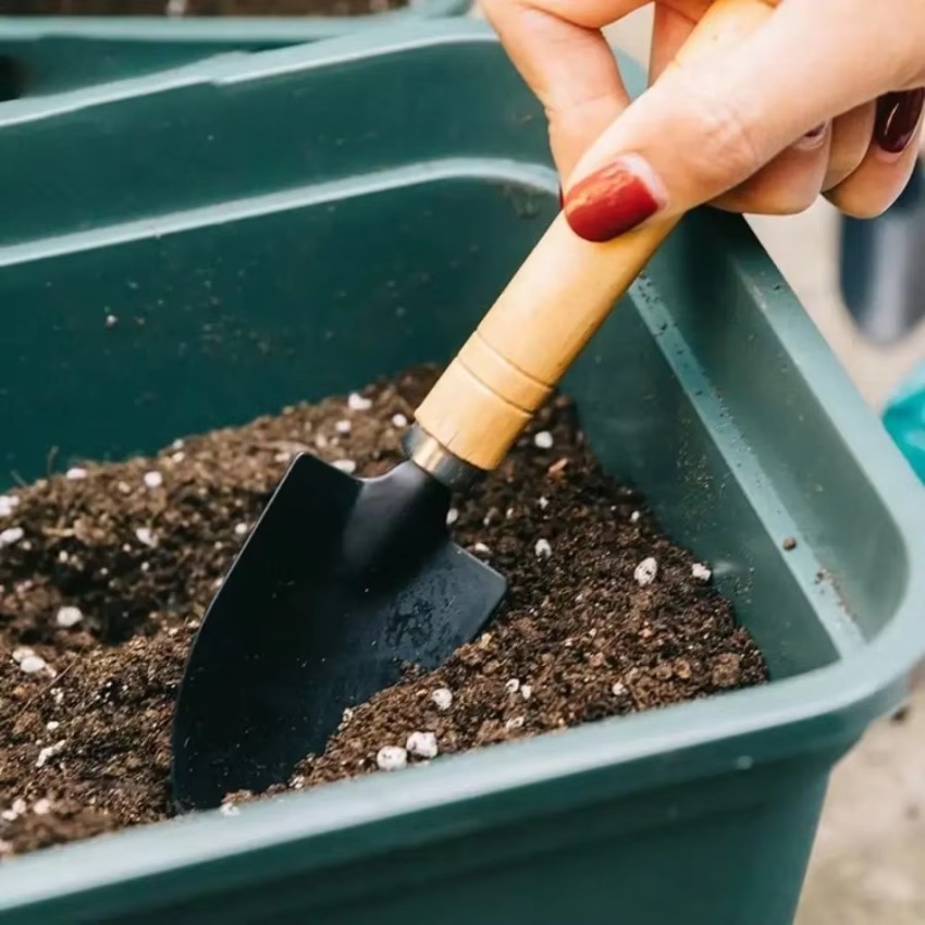 3Pcs/Set Mini Gardening Tools  - Trowel Garden Tools ulasan dan harga